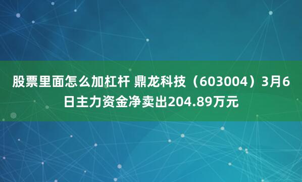 股票里面怎么加杠杆 鼎龙科技（603004）3月6日主力资金净卖出204.89万元