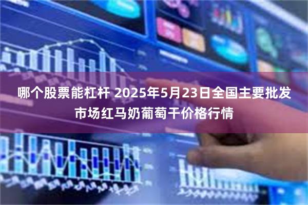 哪个股票能杠杆 2025年5月23日全国主要批发市场红马奶葡萄干价格行情
