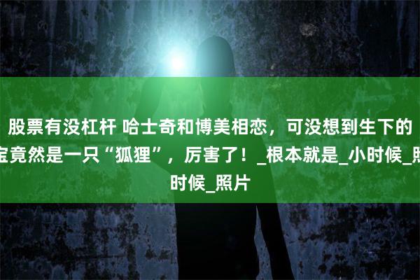 股票有没杠杆 哈士奇和博美相恋，可没想到生下的宝宝竟然是一只“狐狸”，厉害了！_根本就是_小时候_照片