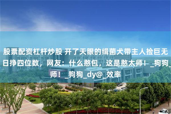 股票配资杠杆炒股 开了天眼的缉菌犬带主人捡巨无霸羊肚菌，日挣四位数，网友：什么憨包，这是憨太师！_狗狗_dy@_效率