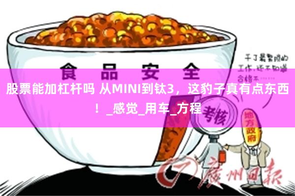 股票能加杠杆吗 从MINI到钛3，这豹子真有点东西！_感觉_用车_方程