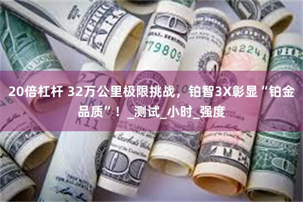 20倍杠杆 32万公里极限挑战，铂智3X彰显“铂金品质”！_测试_小时_强度